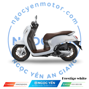 Scoopy Indo 2024