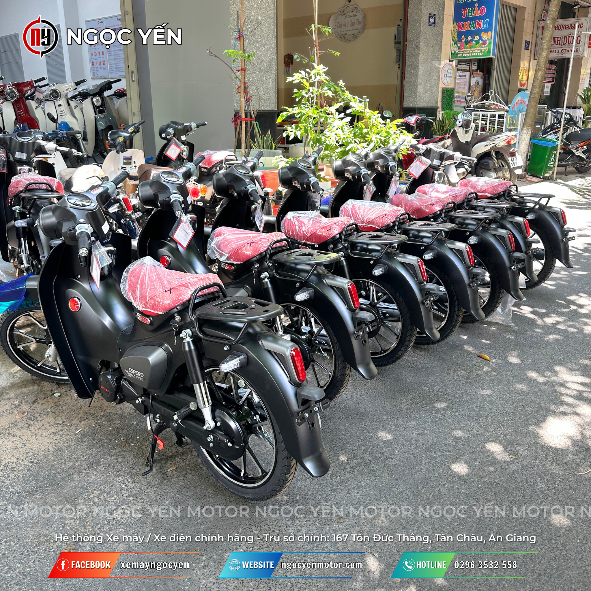 Xe máy 50cc Espero Classic VVIP II (Super Cub 83 Detech) - Ảnh 14