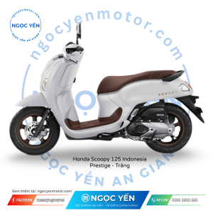 Xe máy Honda Scoopy Indo 2026