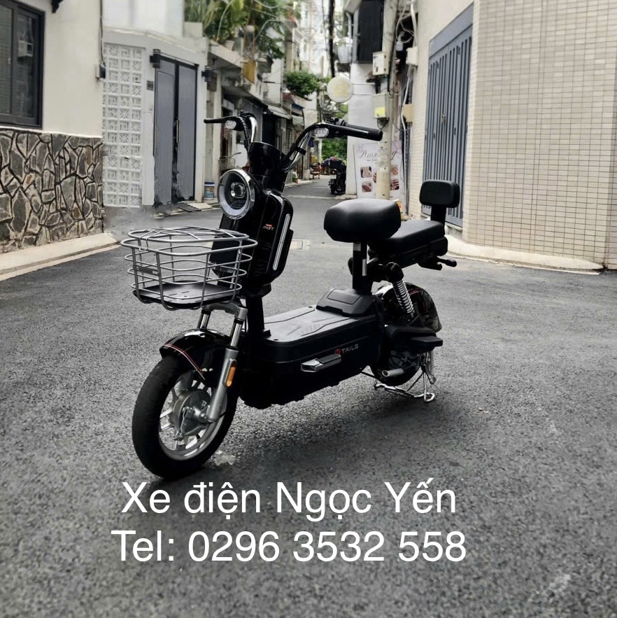 Xe đạp điện Tailg JS32 - Ảnh 5