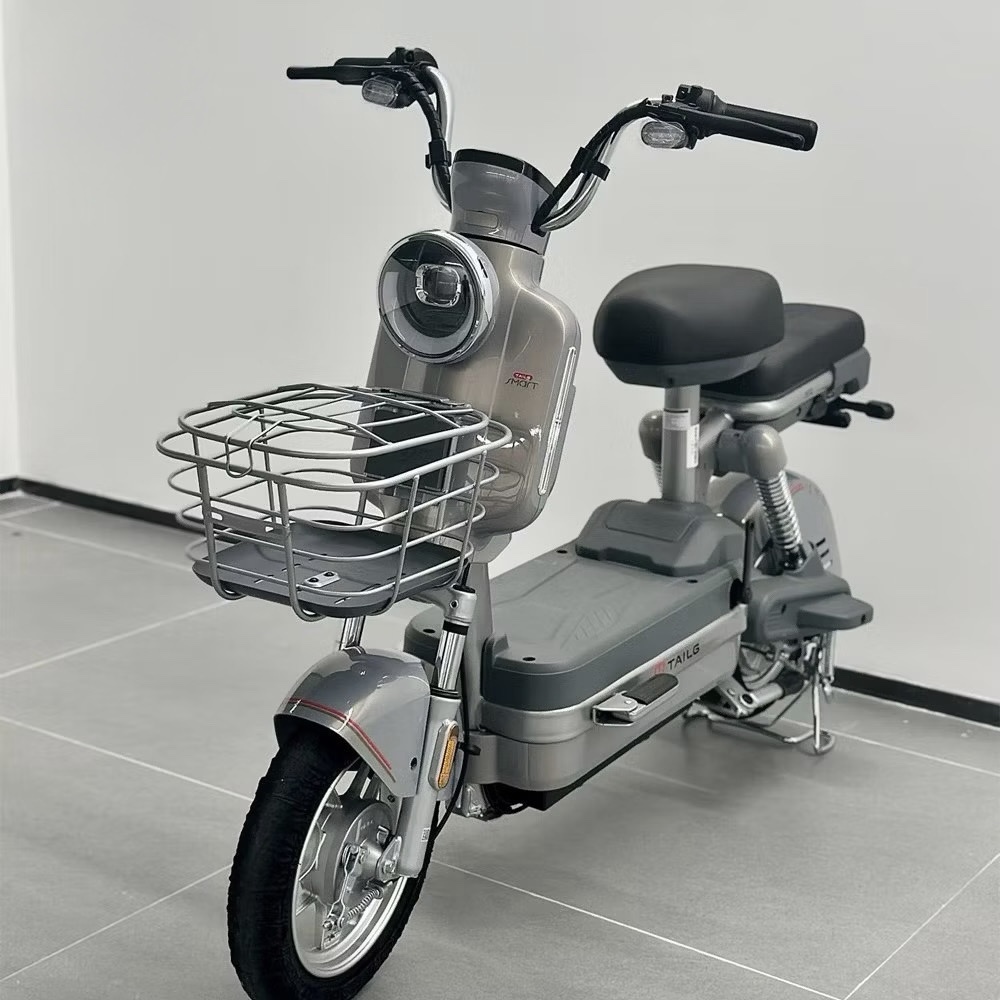 Xe đạp điện Tailg JS32 - Ảnh 7