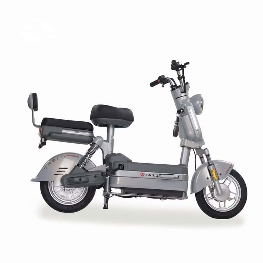 Xe đạp điện Tailg JS32 - Ảnh 8