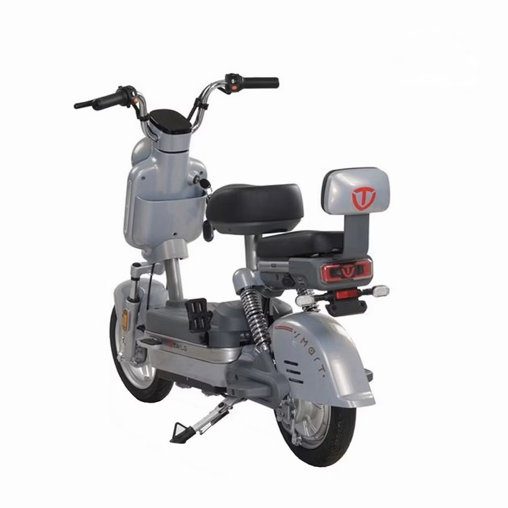 Xe đạp điện Tailg JS32 - Ảnh 9